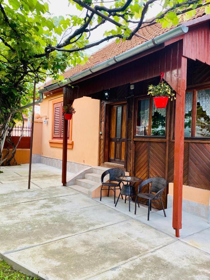 Casa Victoria Hotel Cîrţişoara Exterior foto