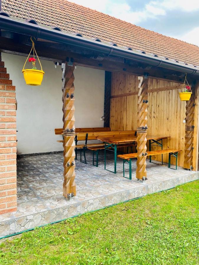 Casa Victoria Hotel Cîrţişoara Exterior foto