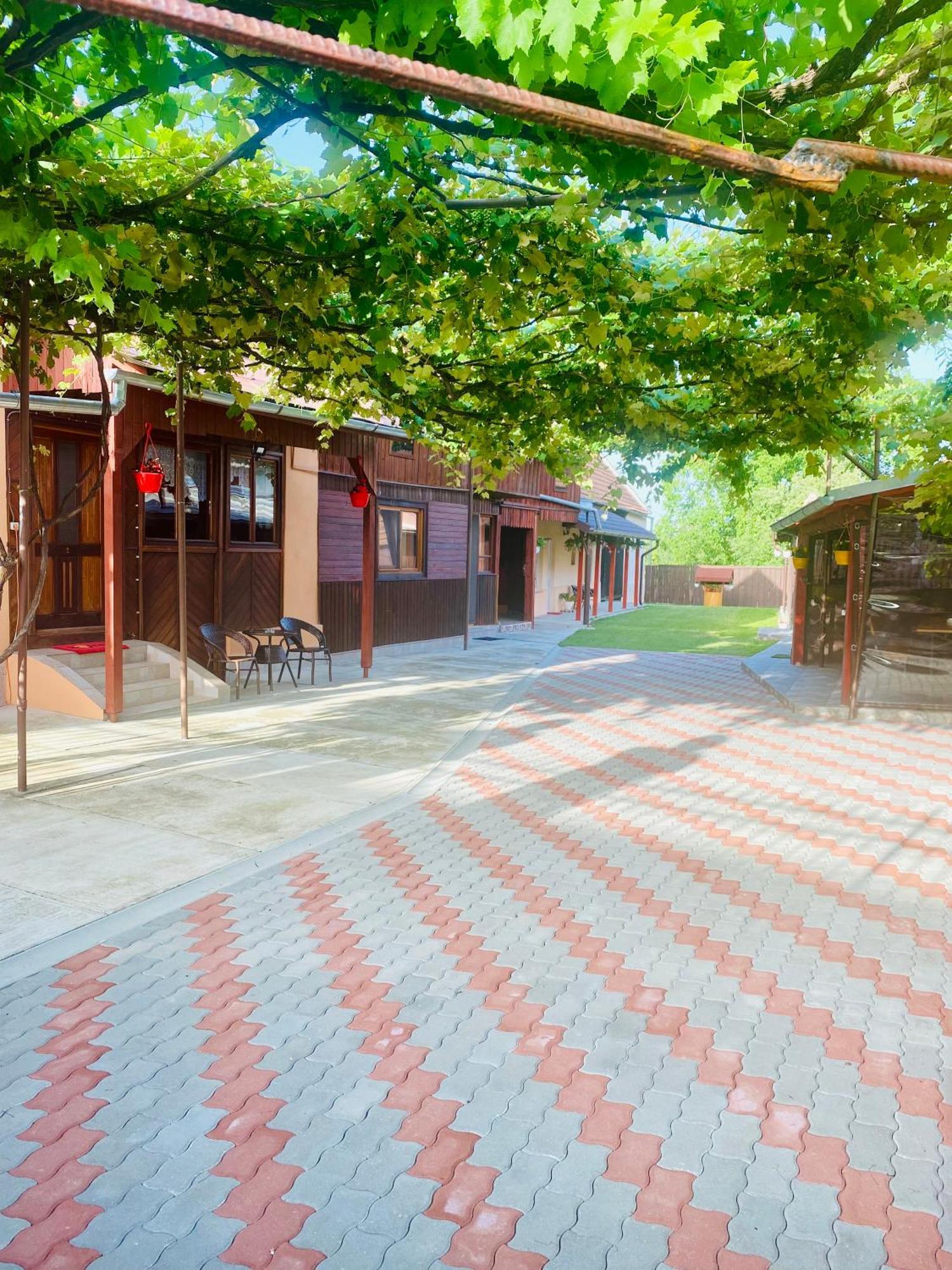 Casa Victoria Hotel Cîrţişoara Exterior foto
